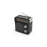 Радиоприемник Ritmix RPR-202 FM, AM, SW, microSD, USB, AUX, фонарик, питание акб, 220, 2хR20